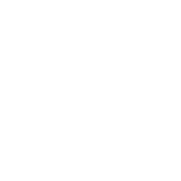 Apple iOS